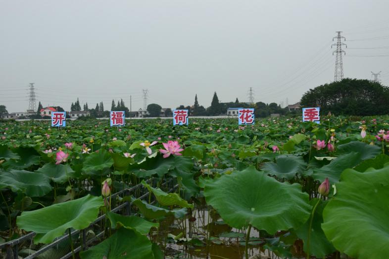 長沙清潔,長沙清潔服務,長沙專業清潔,長沙清潔公司,湖南專業清潔,長沙保潔公司,長沙專業保潔,長沙物業保潔